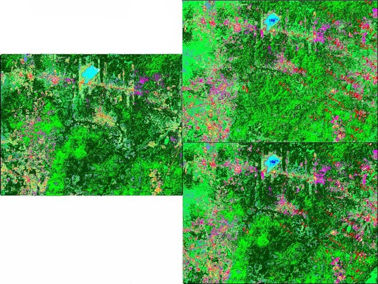 Land Cover Mapping and the Use of Spatial Priors for Forest Classification