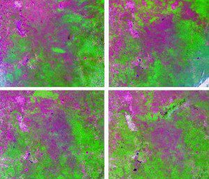 Land Cover Mapping and the Use of Spatial Priors for Forest Classification